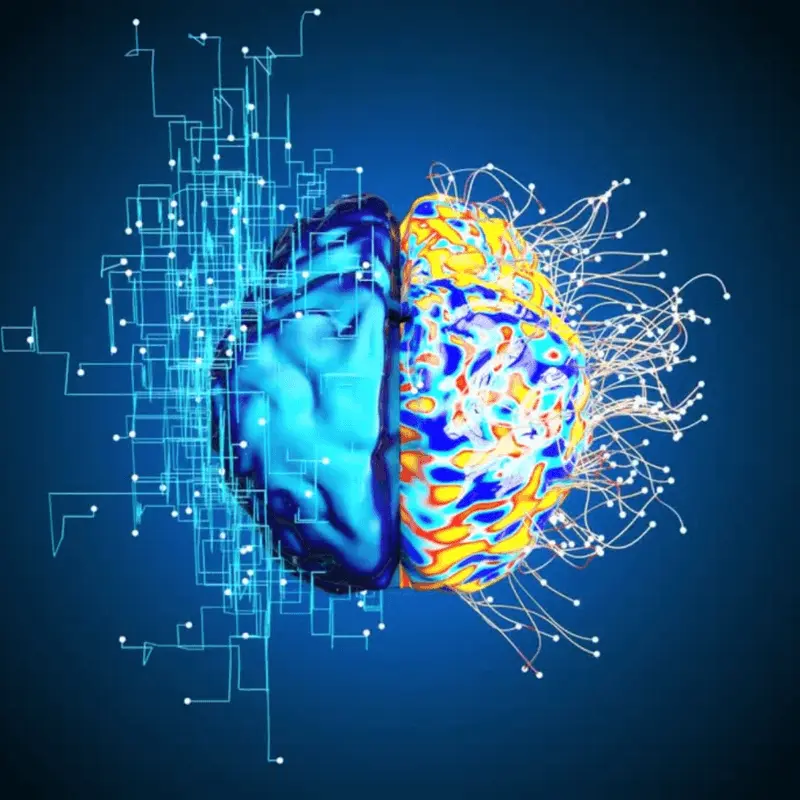 Neuro Energizer Brain Neurons